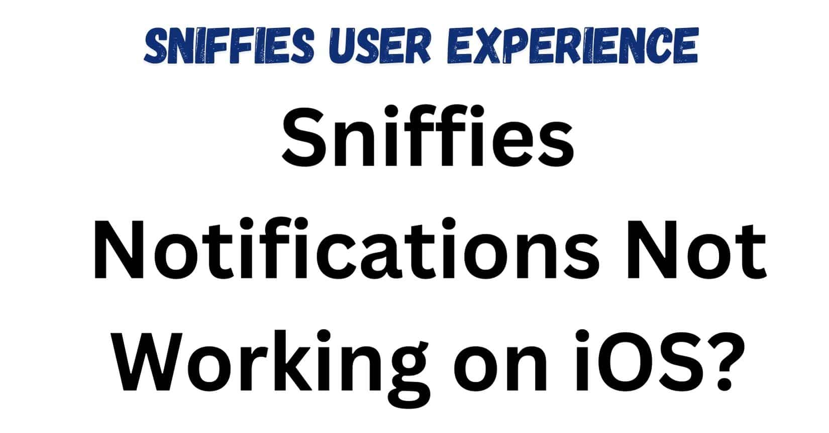 Sniffies Notifications Not Working on iOS
